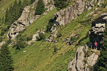 Val Genova, Parco Naturale Adamello Brenta