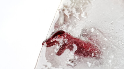 A toy dinosaur frozen into a block of ice. The concept of extinction of dinosaurs and lizards due...