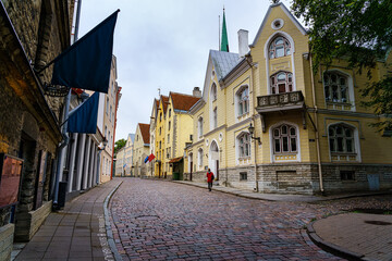 Fototapeta na wymiar Beautiful cobbled street with its colorful medieval houses in the city of Tallinn.