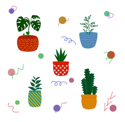 Colorful cartoon set of different plants in pots: monstera, aloe, ficus, cactus