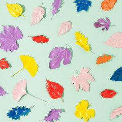 Colorful various leaves on a bright green background. Creative nature concept. Autumn season layout.