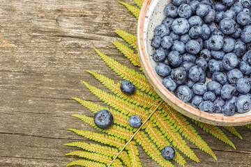 Food, summer composition with organic, wild blueberries in a bowl and fern leave on a wooden background with copy space. Eco friendly, mindful eating. Immune boosting food, natural remedy for immunity