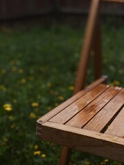 bench in the park