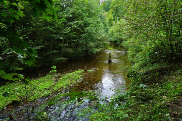 Fluss Teinach am Premiumwanderweg 