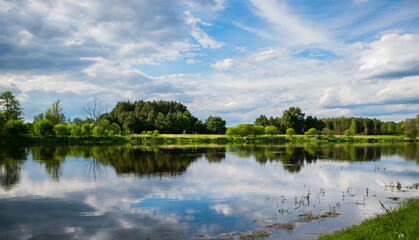 trees reflected in the water, a quiet day on the Narew River, Lomza, Podlasie, Poland