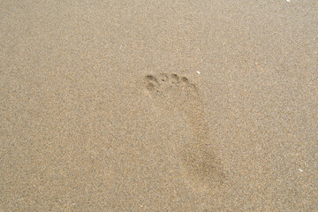 Fototapeta na wymiar Footprint in wet sand of a beach