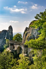 Photo sur Plexiglas Le pont de la Bastei Formations rocheuses à la suisse saxonne à côté du pont Bastei