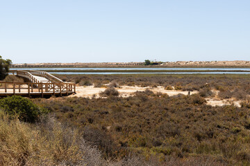 Fototapeta na wymiar Wooden walkway in Ria Formosa lagoon, Algarve