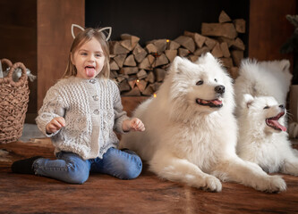  Girl and samoyed husky dog. Home