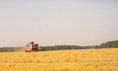 Naklejka premium grain harvester in field, agriculture work in filed, nature background