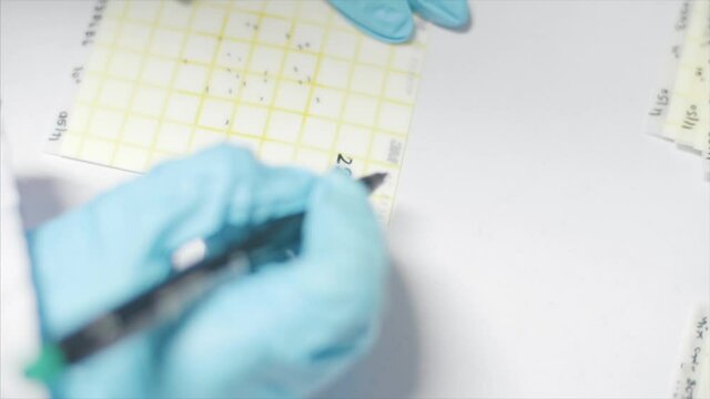Scientist works on formulas in the laboratory.