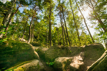 Rock formations in the saxon switzerland 