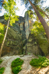 rock formations next to to a hiking path ​(Saxon Switzerland