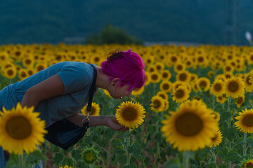 mujer oliendo girasoles en el campo, mujer de cabello rosa oliendo flores amarillas, niña de pelo corto en medio de un campo de girasoles