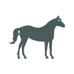 Horse, animal, mustang, race icon. Gray vector graphics.