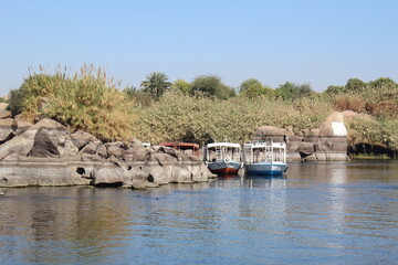 The beautiful nature mix of sandy hills and plants and river in Aswan in Egypt