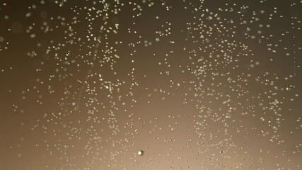 Super slow motion of champagne bubbles texture. Filmed on high speed cinema camera, 1000 fps.