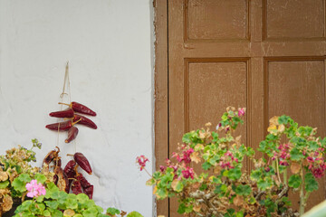 Fototapeta na wymiar Detail of an Andalusian balcony with pots of geraniums and a string of red dried peppers next to the wooden door