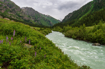 Obraz na płótnie Canvas mountain river in the mountains