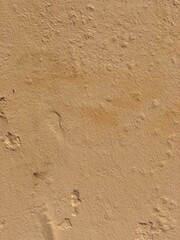 traces on sand