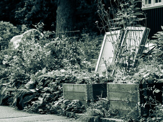 A monochrome image of an overgrown bachyard garden