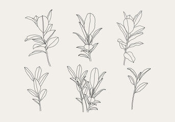 Minimalist botanical branch with leaves elements for abstract collage