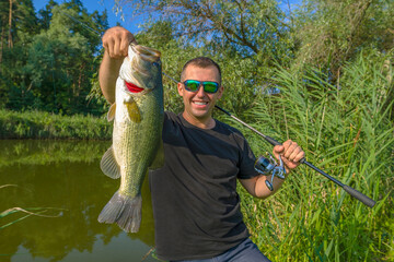 Bass fishing. Big bass fish in hands of pleased fisherman. Largemouth perch at pond - obrazy, fototapety, plakaty