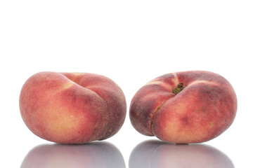 Two juicy organic peaches, close-up, isolated on white.