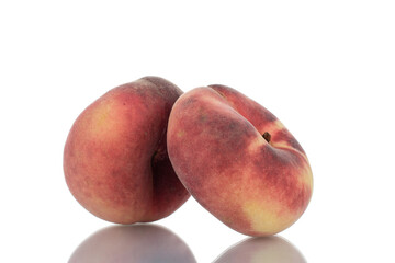 Two juicy organic peaches, close-up, isolated on white.
