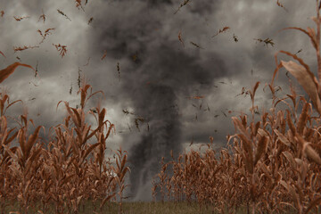 3d Rendering of withered cornfield in front of dramatic sky and tornado. Selective focus