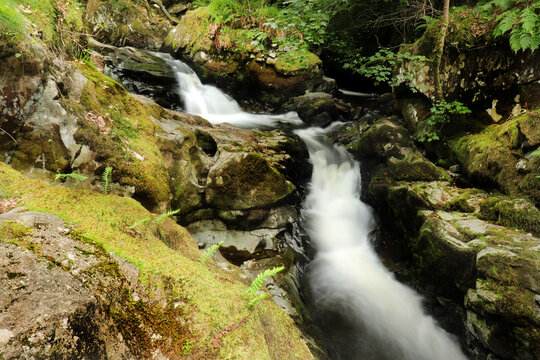 aira waterfall in the forest