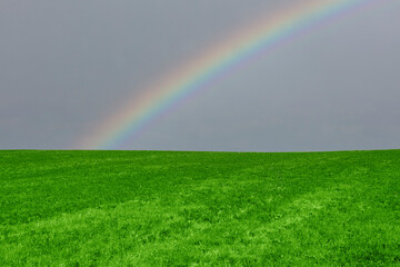beautiful rainbow over a field with bright green grass after rain