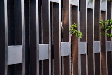 A metal wall along which plants climb. Architectural design solution in the garden.