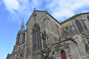 Fototapeta premium Agapanthes