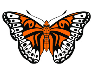 Beautiful orange butterfly. Logo for the company. Vector illustration isolated on white background. 