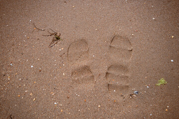 Texture of yellow sand with shell particles.