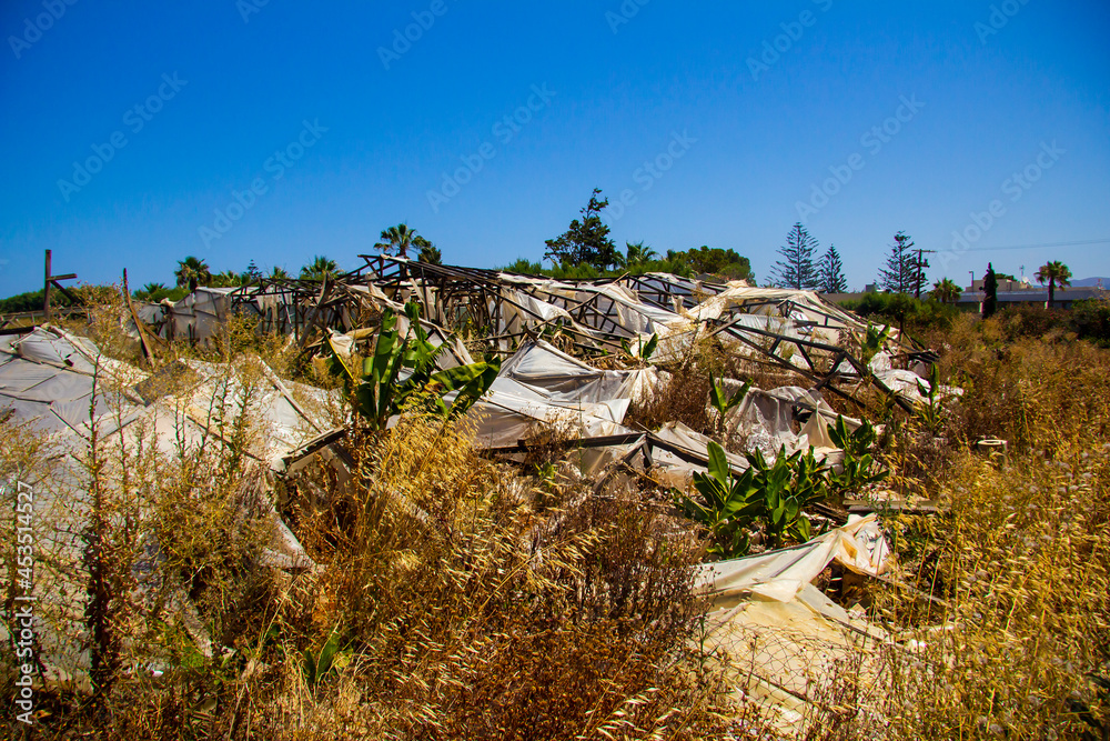 Wall mural destroyed greenhouses with bananas on the island of crete in greece