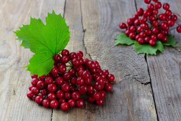 Fresh kalina berry on wooden background close up. Super food