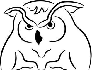 Illustration of a owl, isolated. Wild bird