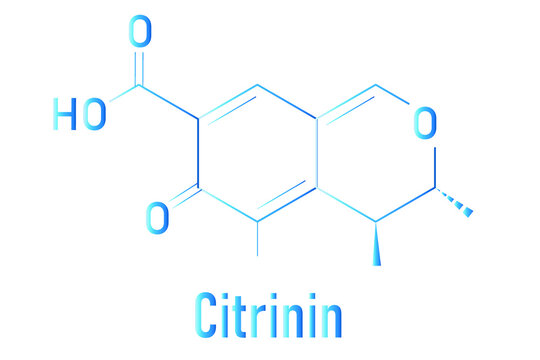 Citrinin Images – Browse 29 Stock Photos, Vectors, and Video | Adobe Stock