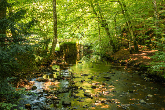 Im Tal der Wisser bei Schlo&szlig; Crottorf