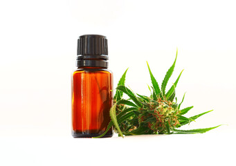 cbd oil cannabis