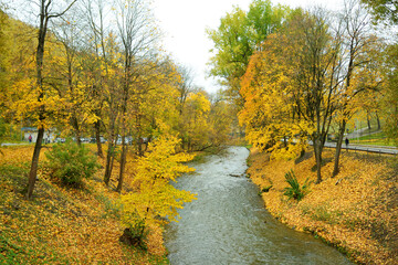 Fototapeta na wymiar Colorful city park scene in the fall with yellow foliage. Beautiful autumn scenery in Vilnius, Lithuania
