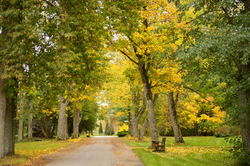Fototapeta na wymiar Colorful city park scene in the fall with yellow foliage. Beautiful autumn scenery in Vilnius, Lithuania