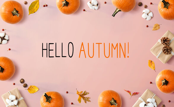 Hello autumn message with autumn pumpkins with present boxes