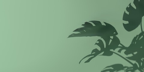 Shadow background of monstera leaves - 3D render