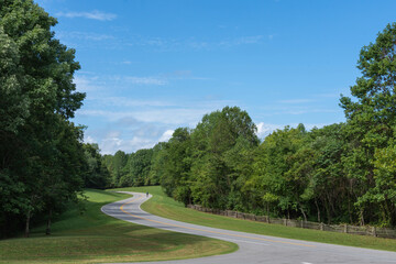 Bicyclist riding on a winding road in the forest
