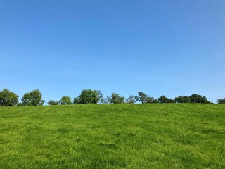 Fototapeta premium green meadow against blue sky
