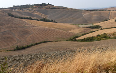 Obraz premium Monochrome Landschaft der Crete Senesi