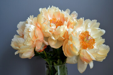 Bouquet of five yellow peonies with stems and green leaves in close up